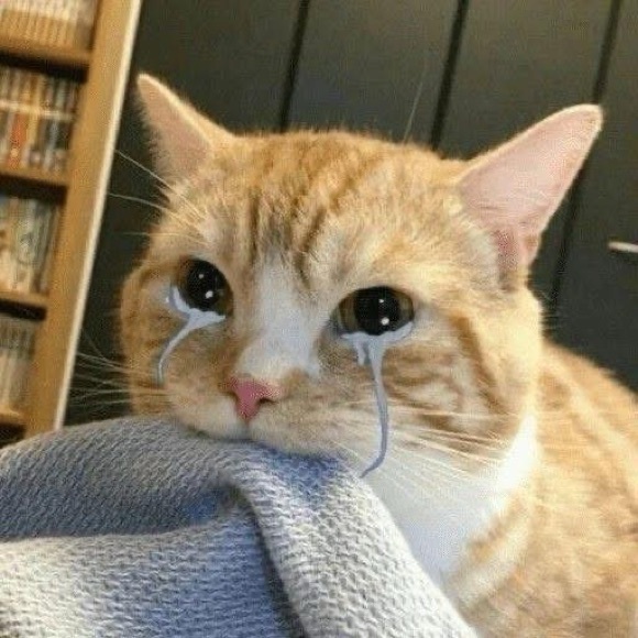 svnneii